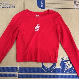 Hollister dragon crop top